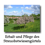 Streuobstwiesenguertel