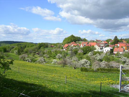 Streuobstwiese2